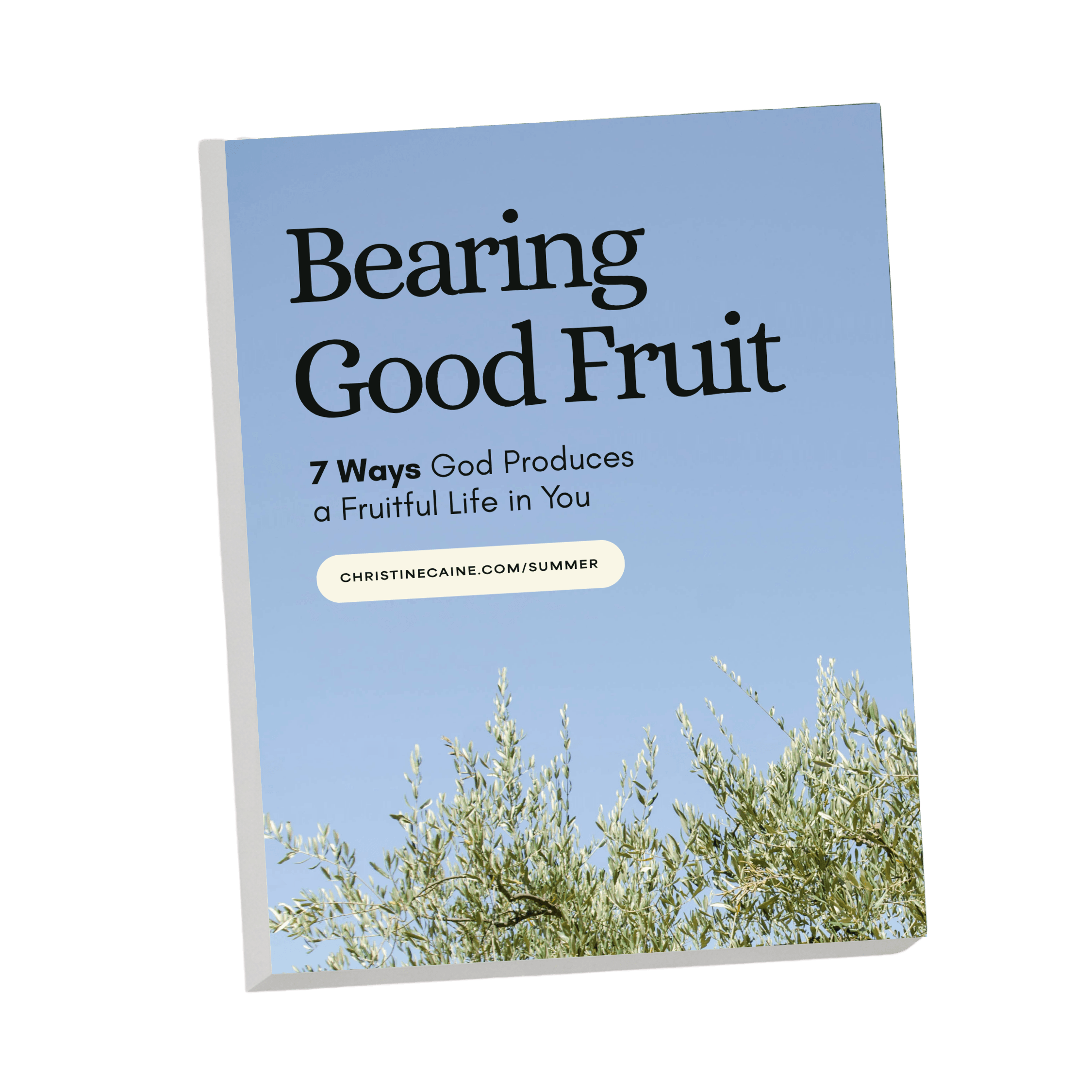Bearing Good Fruit