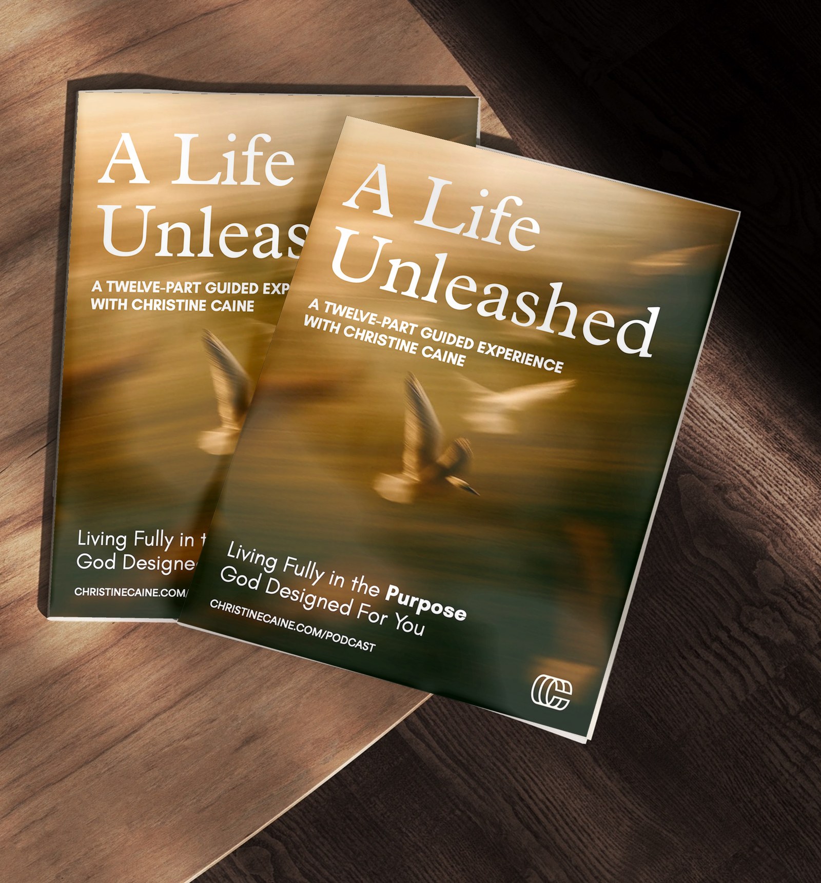Two copies of A Life Unleashed, a twelve-part guided experience with Christine Caine, on a wooden table